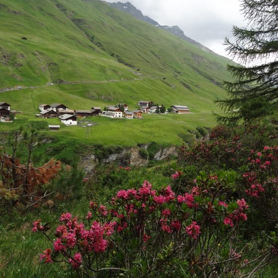 DSC04194